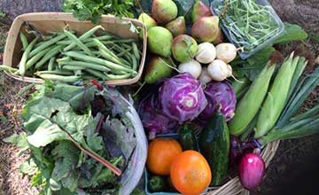 Produce